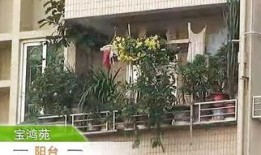 翠屏山庭小区爆料视频,揭秘小区生活真相